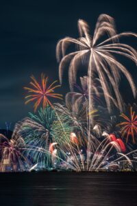 fireworks, fireworks display, lake, lake biwa, event, nature, palm tree, japan, phone wallpaper, aesthetic wallpaper